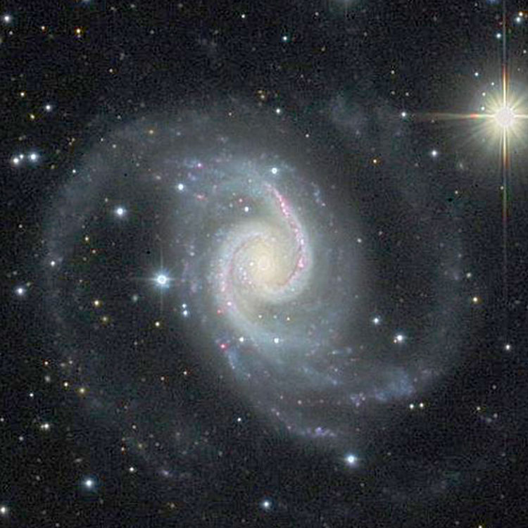Image of spiral galaxy NGC 1566 posted on Wikisky