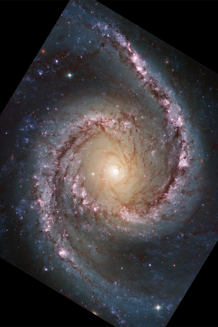 HST image of the core of spiral galaxy NGC 1566