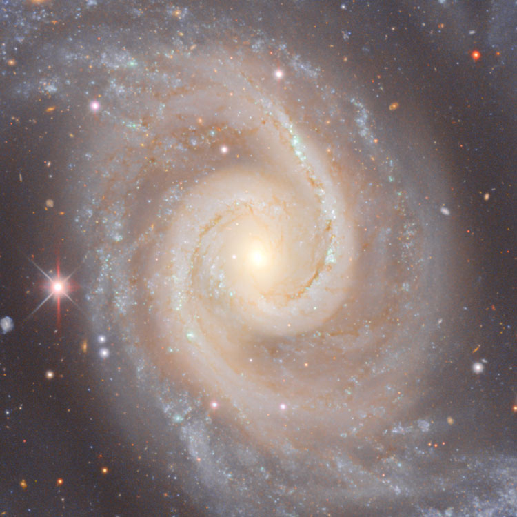 NOIRLab image of central part of spiral galaxy NGC 1566