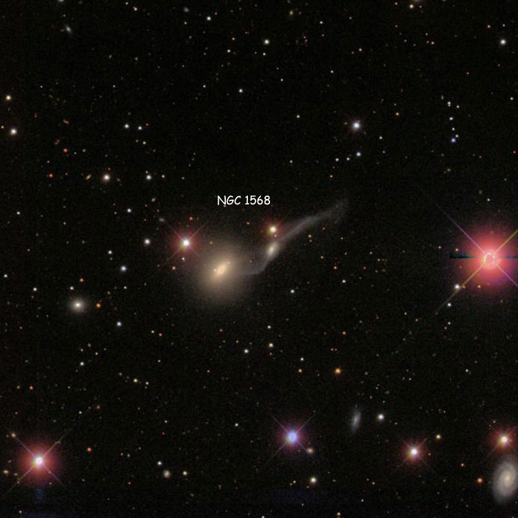 SDSS image of region near interacting lenticular galaxies PGC 15034 and 15042, which comprise NGC 1568