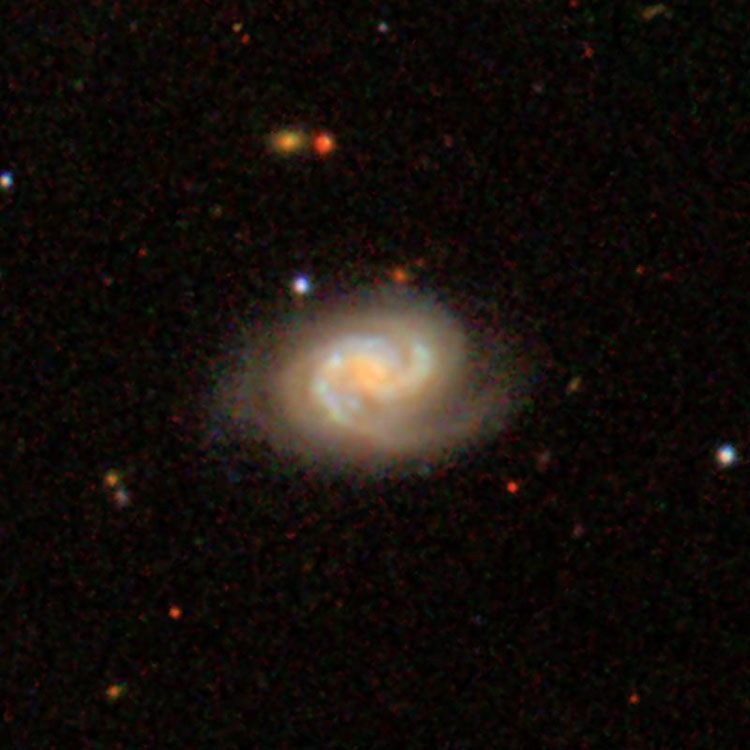 SDSS image of spiral galaxy NGC 1590