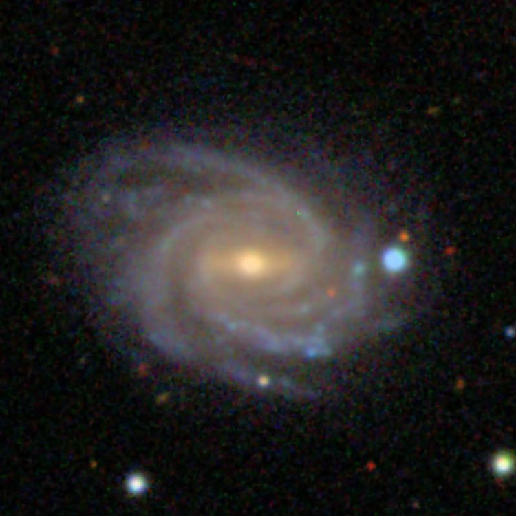 SDSS image of spiral galaxy NGC 1594