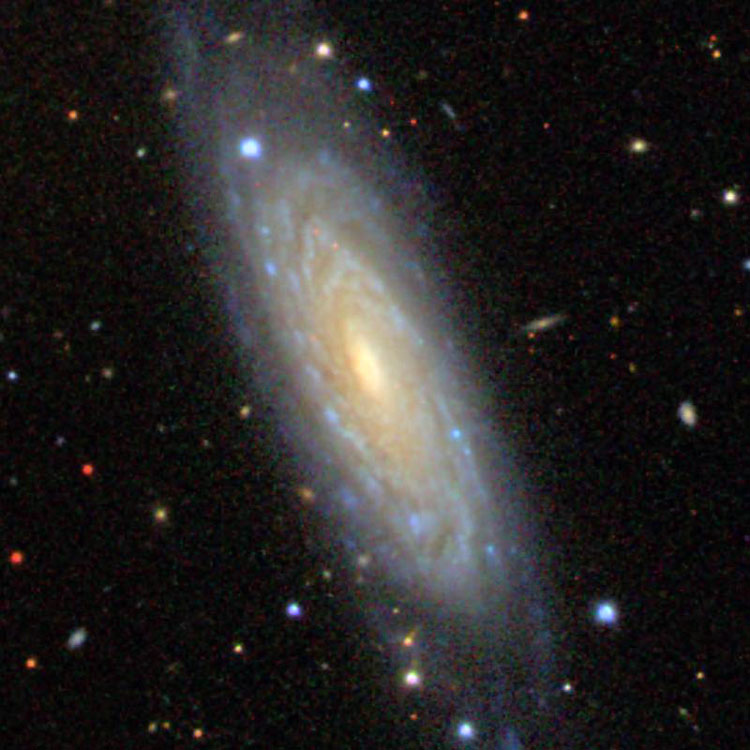 SDSS image of spiral galaxy NGC 1620