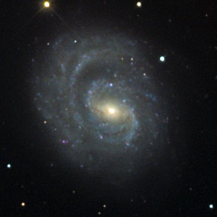 NOAO image of spiral galaxy NGC 1637
