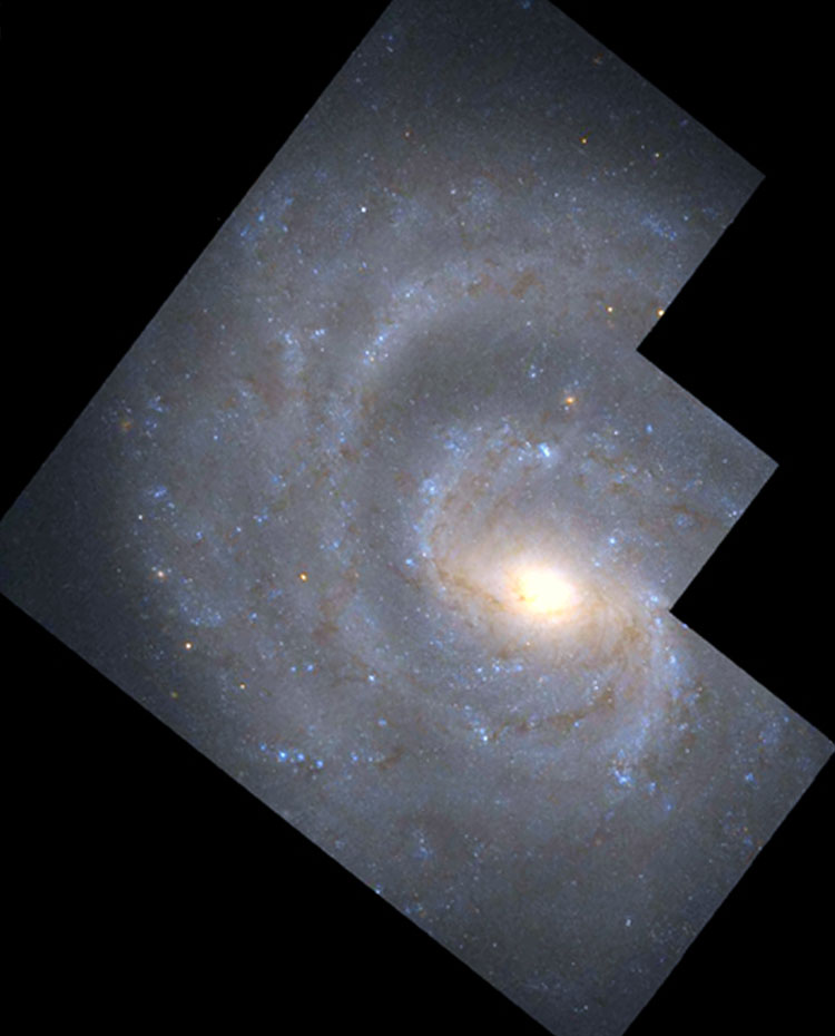 HST closeup of central portion of spiral galaxy NGC 1637