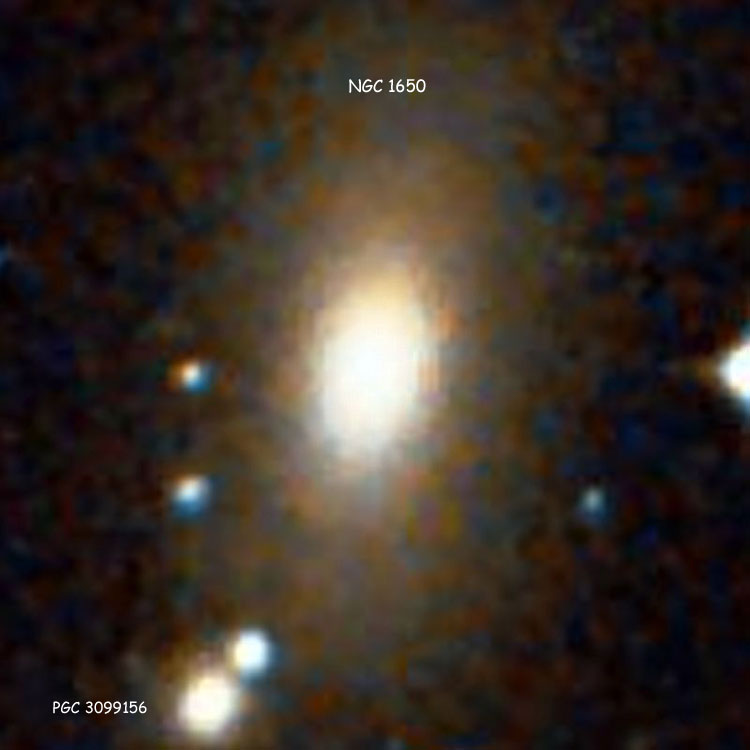 DSS image of elliptical galaxy NGC 1650, also showing PGC 3099156