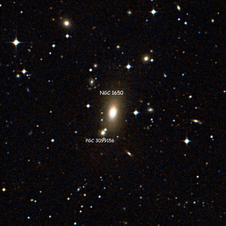 DSS image of region near elliptical galaxy NGC 1650, also showing PGC 3099156