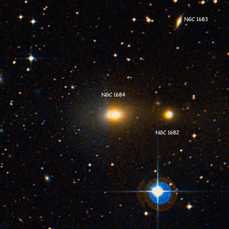 DSS image of region near elliptical galaxy NGC 1684, also showing lenticular galaxy NGC 1682 and spiral galaxy NGC 1683