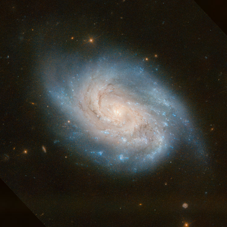 HST image of spiral galaxy NGC 1803