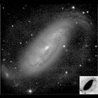de Vaucouleurs Atlas of Galaxies image of NGC 1808