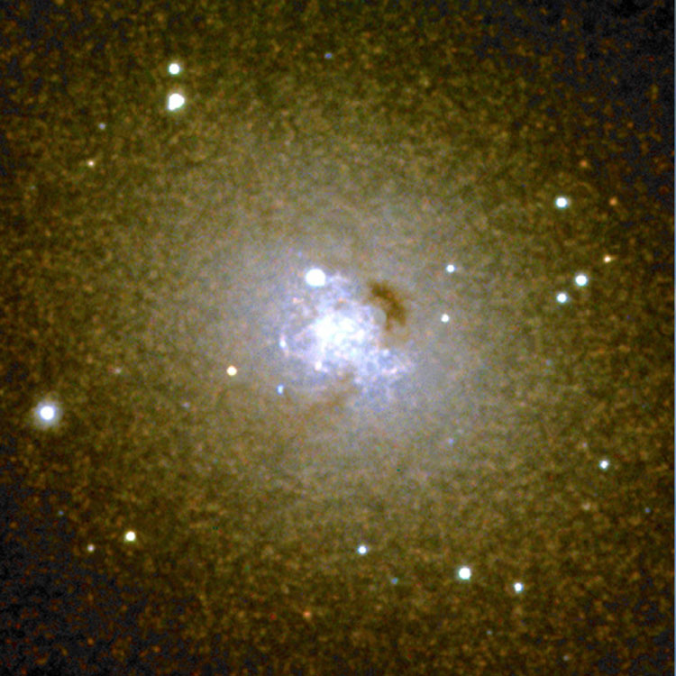 La Palma Kapteyn Telescope image of core of elliptical galaxy NGC 185