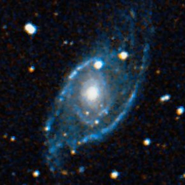 DSS image of spiral galaxy NGC 1954