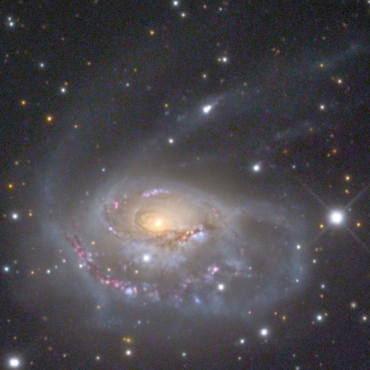 Mount Lemmon Skycenter image of spiral galaxy NGC 1961, also known as Arp 184