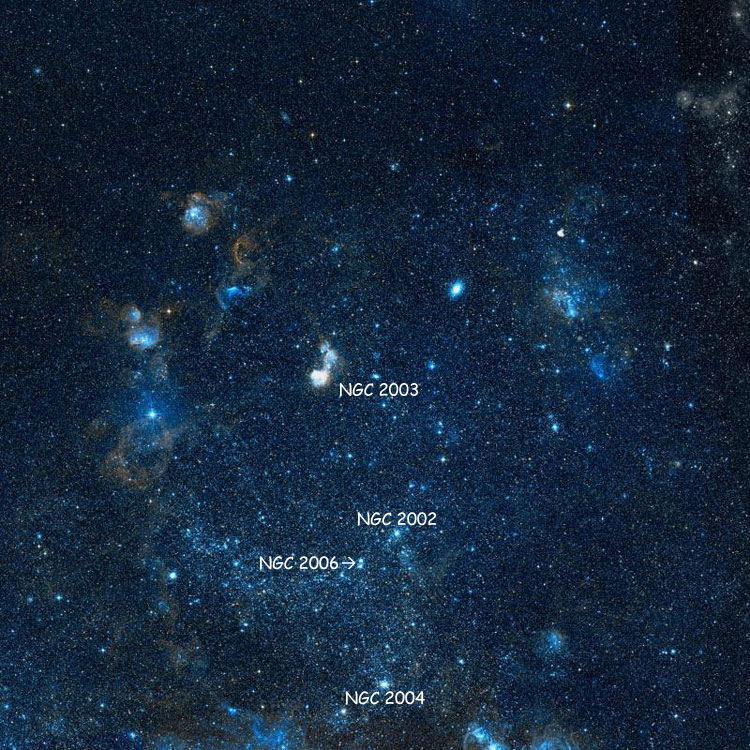 DSS image showing position of open cluster NGC 2003 relative to the Large Magellanic Cloud