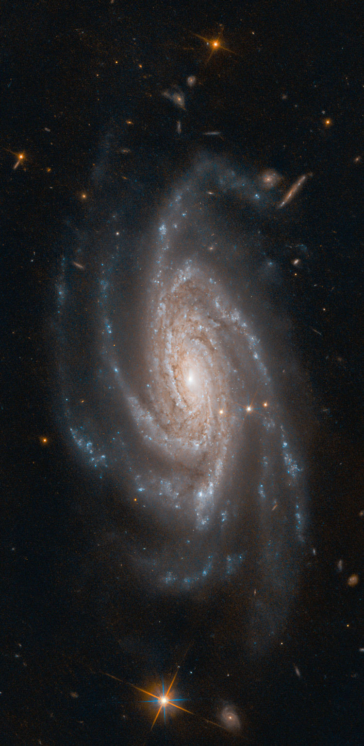HST image of spiral galaxy NGC 2008