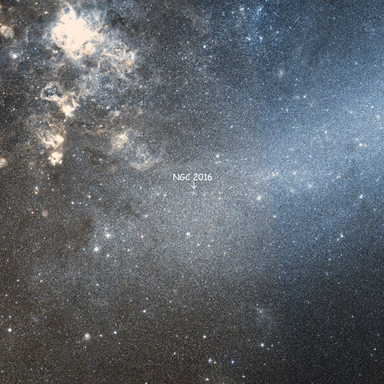 DSS image showing position of open cluster NGC 2016 relative to the Large Magellanic Cloud