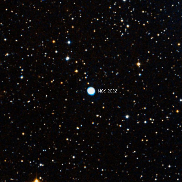 DSS image of region near planetary nebula NGC 2022