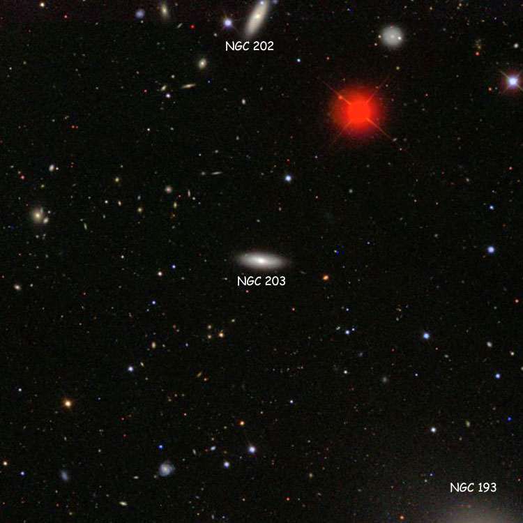 SDSS image of region near lenticular galaxy NGC 203, also showing NGC 202 and part of NGC 193