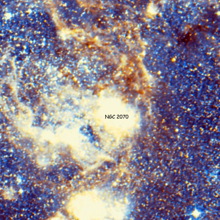 DSS image of region near emission nebula NGC 2080, also known as the Ghost Head Nebula, in the Large Magellanic Cloud