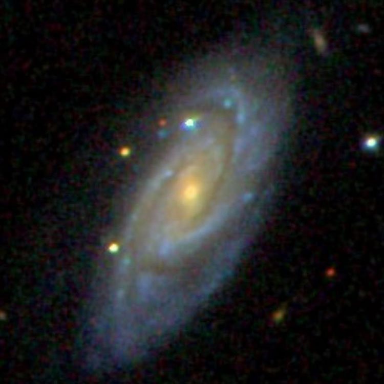 SDSS image of spiral galaxy NGC 21