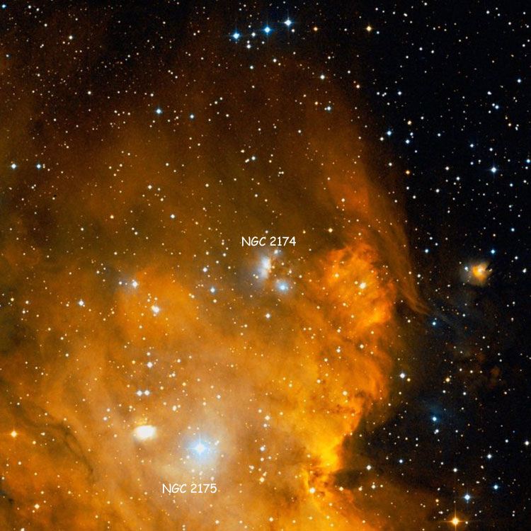 DSS image of the region near the group of stars and associated nebulosity which should be listed as NGC 2174, showing their position within emission nebula NGC 2175