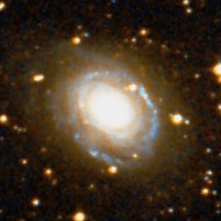 DSS image of spiral galaxy NGC 2196