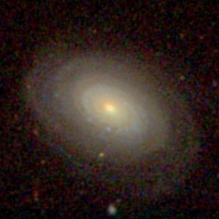 SDSS image of spiral galaxy NGC 223
