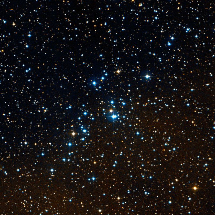 DSS image of region centered on open cluster NGC 2251