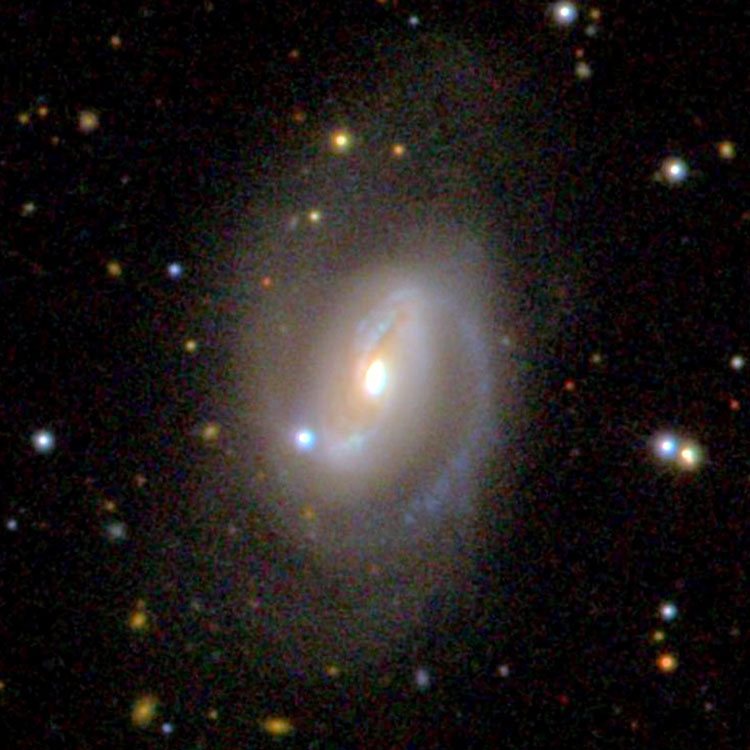 SDSS image of spiral galaxy NGC 23