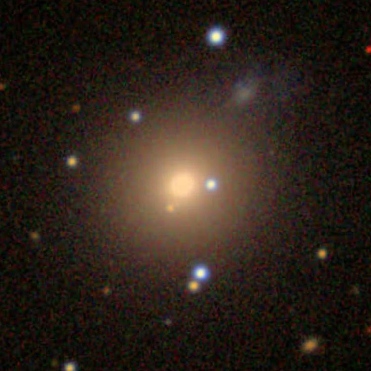 SDSS image of elliptical galaxy NGC 233