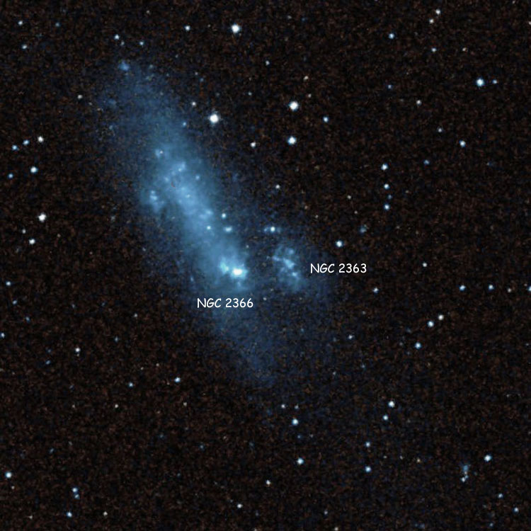 DSS image of irregular galaxies and/or galaxy parts NGC 2366 and 2363, labeled according to their original meaning