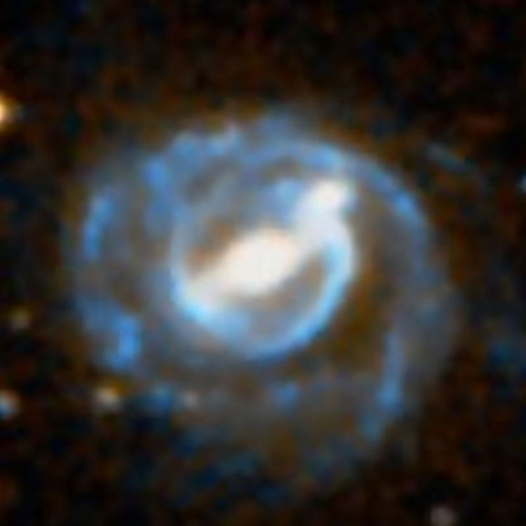 DSS image of spiral galaxy NGC 238
