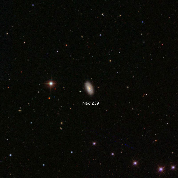 SDSS image of region near spiral galaxy NGC 239