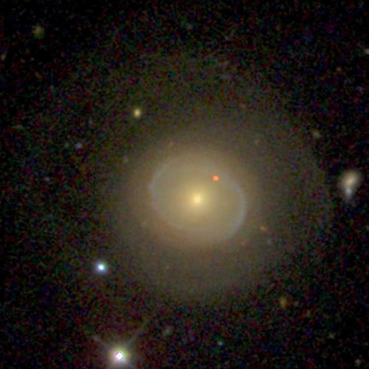 SDSS image of lenticular galaxy NGC 240
