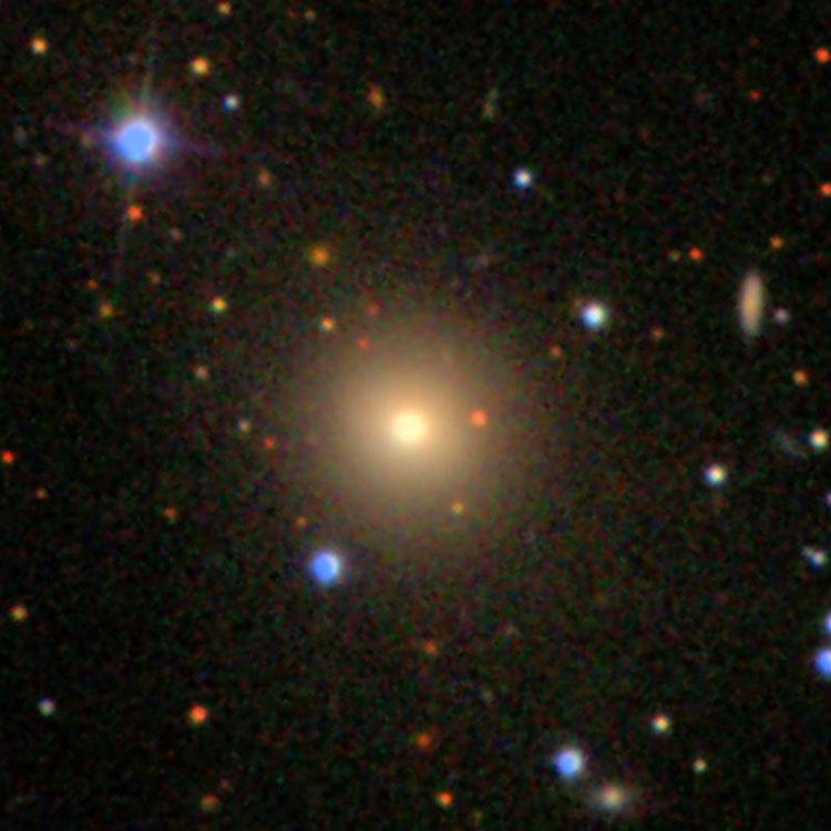 SDSS image of elliptical galaxy NGC 2406