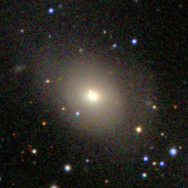 SDSS image of lenticular galaxy NGC 2407