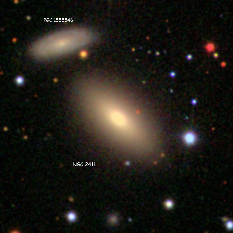 SDSS image of elliptical galaxy NGC 2411