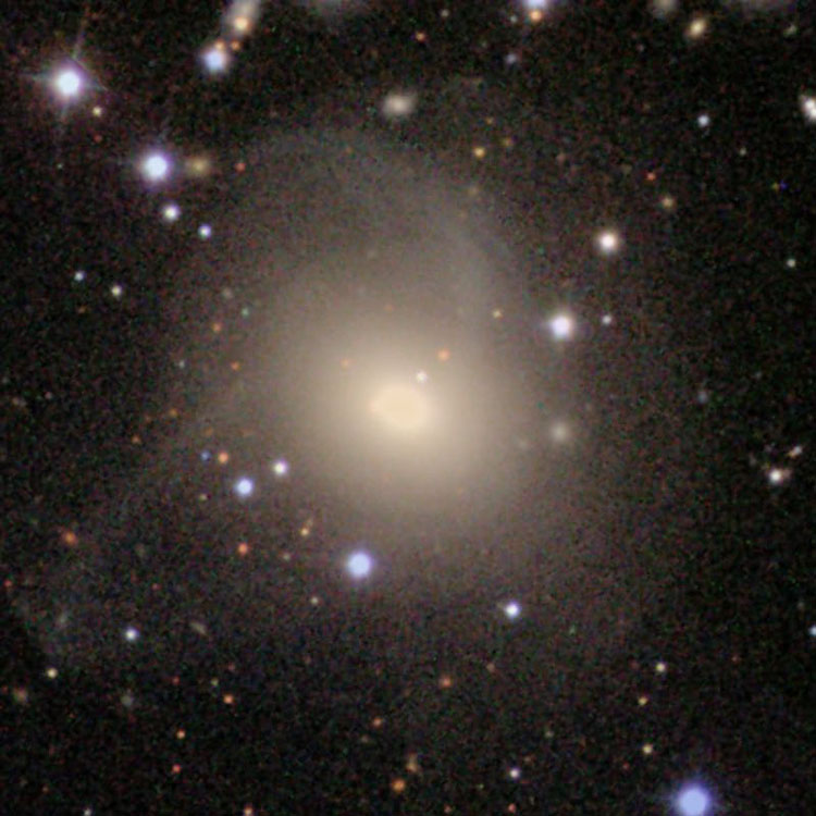 SDSS image of elliptical galaxy NGC 2418