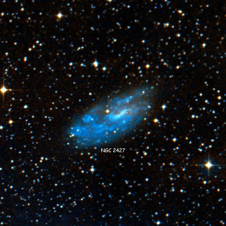 DSS image of region near spiral galaxy NGC 2427