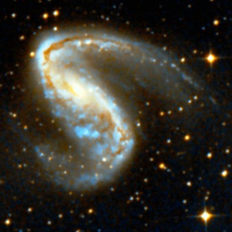 DSS image of the spiral galaxy listed as NGC 2442 and 2443