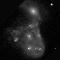 de Vaucouleurs Atlas of Galaxies image of page for NGC 2445