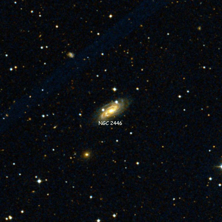 DSS image of region near spiral galaxy NGC 2446