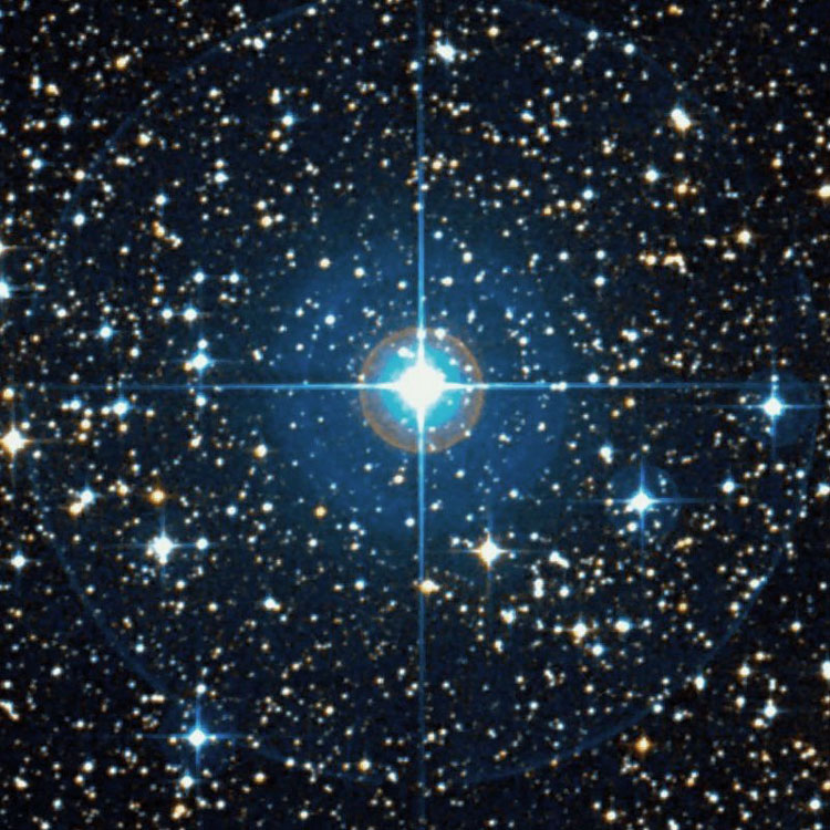 DSS image of stellar grouping NGC 2448