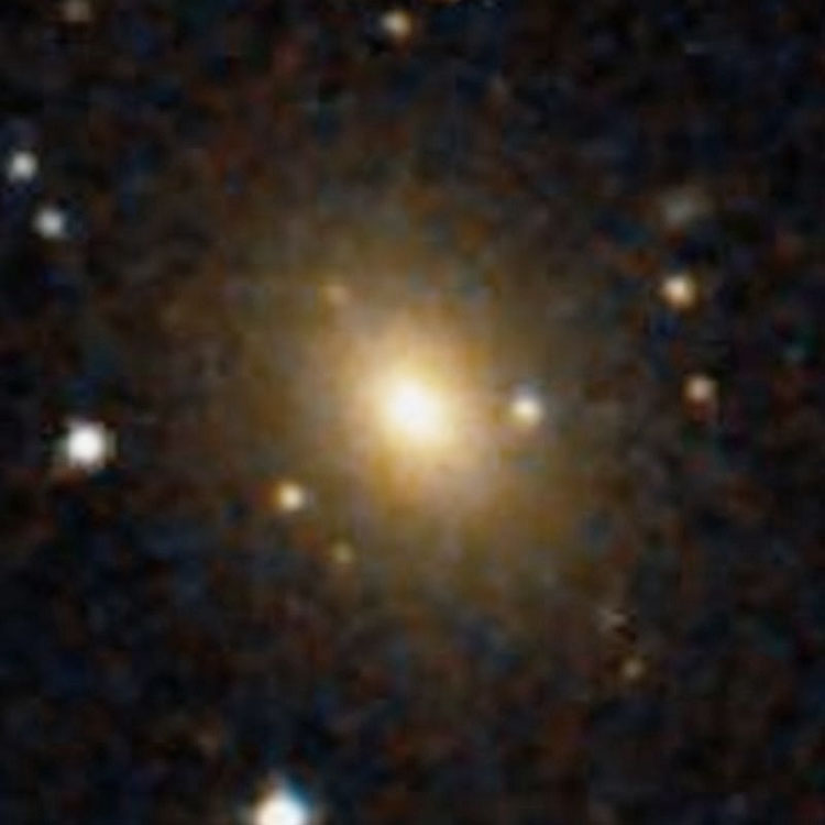 DSS image of elliptical galaxy NGC 2456
