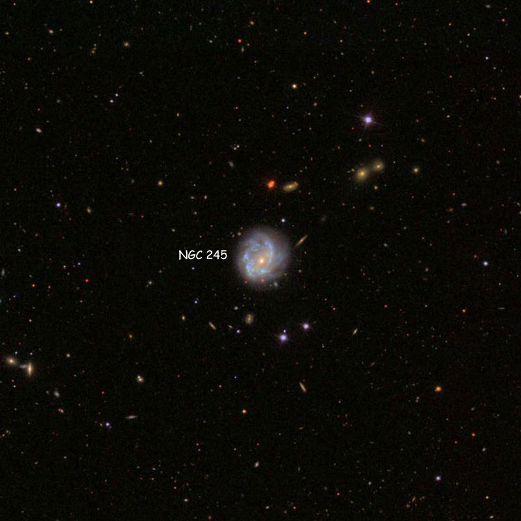SDSS image of region near spiral galaxy NGC 245