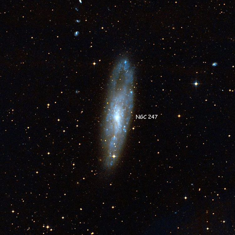 DSS image of region near spiral galaxy NGC 247