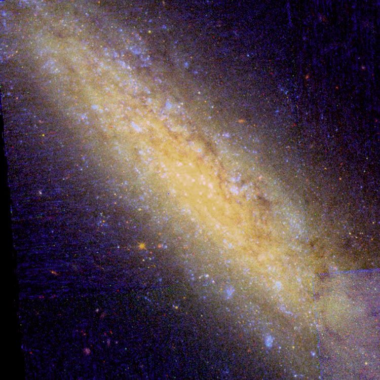 HST false-color image of the central part of spiral galaxy NGC 24