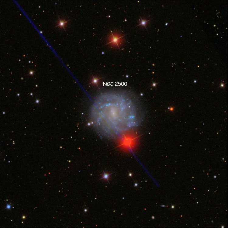SDSS image of region near spiral galaxy NGC 2500
