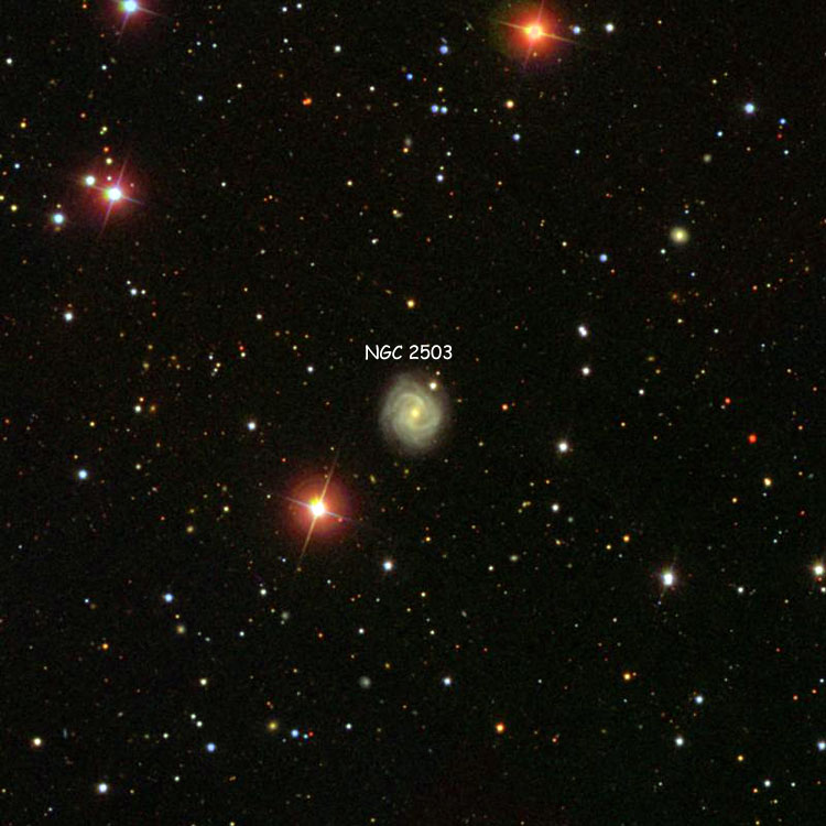 SDSS image of region near spiral galaxy NGC 2503