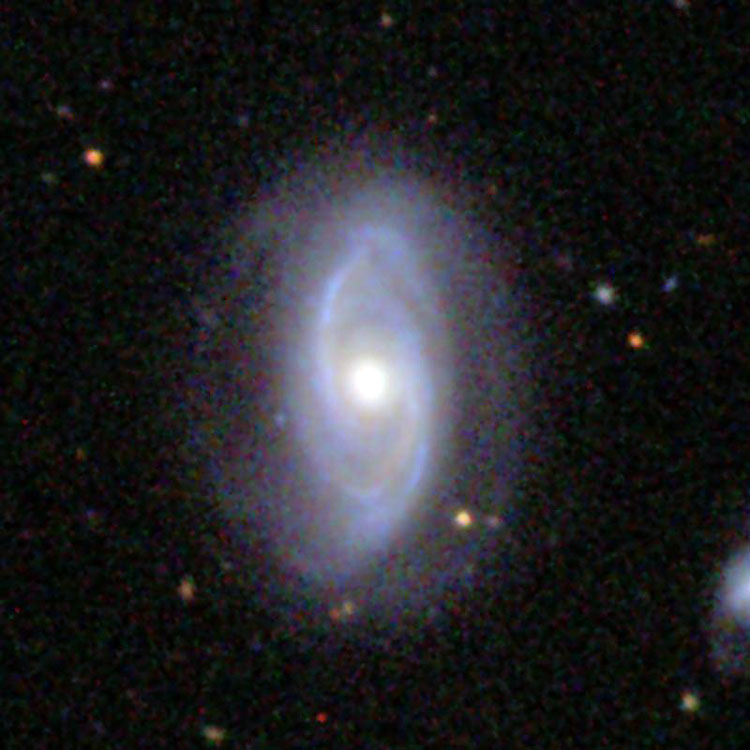 SDSS image of spiral galaxy NGC 2505